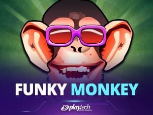 Funky Monkey icon